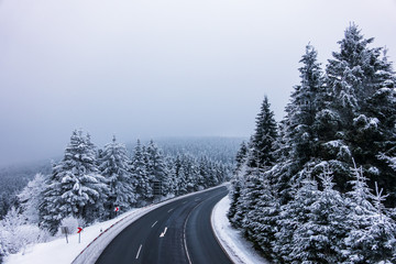 Obraz premium Winter mit Schnee im Thüringer Wald bei Oberhof