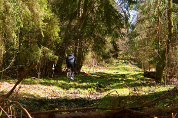 Obraz premium The cyclist in the deep woods. Cyclist rides through dense green forest.