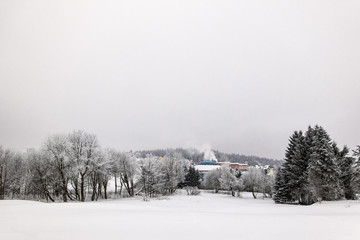 Winter mit Schnee im Thüringer Wald bei Oberhof