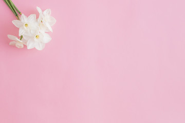 Obraz na płótnie Canvas Flat lay composition with white daffodils
