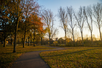 Obraz premium Beautiful autumn landscape in a park in Eindhoven city, Holland