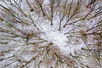 Aerial view of the winter forest with glade from above