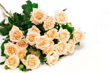 A beautiful bouquet of white roses with raindrops is on the white background