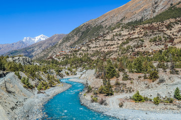 Fototapeta na wymiar Way to Upper Pisang, Annapurna Circuit Trek, Nepal. Clear sky above the peak. Picturesque landscape, river in the bottom on the valley, small trees on the shores. White Himalayas mountain peaks 