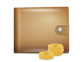 Wallet and coins