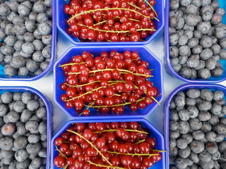 Blueberries and redcurrants in bowls on the organic market for sale