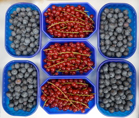 Blueberries and redcurrants in bowls on the organic market for sale