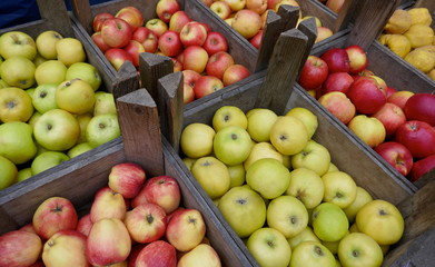 Fresh red and green organic apples  in eco-friendly wooden crates.
Ready for sale in the market.