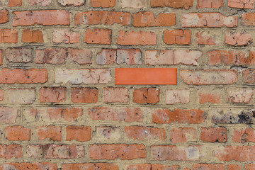 One new brick in an old brick wall. White crow, black sheep. Idiom.