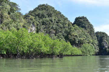 Wonderful mountainous landscape at a kayak trip into the mangrove forest in Ao Thalaine in Krabi in Thailand, Asia
