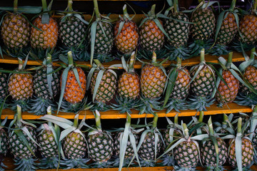 Pineapple is the tropical fruit