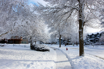 Beautiful winter morning after snowfall background. Snowy landscape with covered by fresh snow street and trees, cleaned walkway in a foreground. Small city life background.