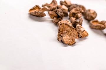 Fototapeta na wymiar Dry Mushrooms isolated on white background.