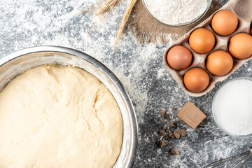Yeast dough on gray background. Baking ingredients of pressed yeast, eggs, sugar, milk and flour.  