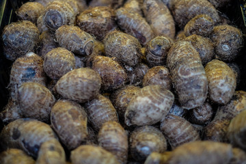 vegetables in a Vietnamese supermarket