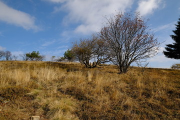 Wasserkuppe und  Pferdskopf in der Rhön im Herbst, Biosphärenreservat Rhön, Hessen, Deutschland