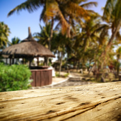 Table background of free space for your product and exotic landscape of palms. 