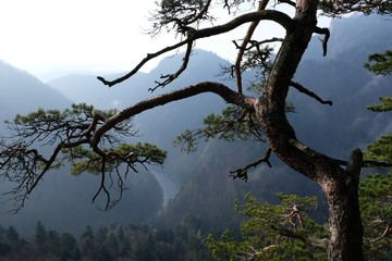 Polska, Pieniny - widok na Dunajec z okolic Sokolicy © Iwona
