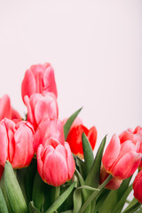 Colorful tulips easter decoration in a home. Spring concept