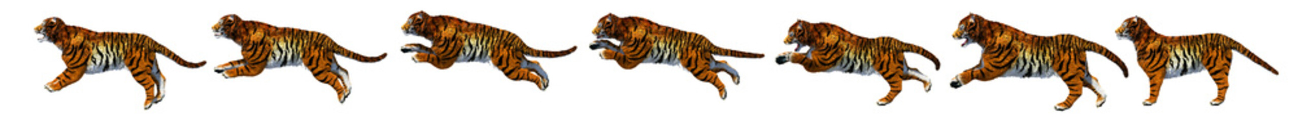 A border showing a sequence of a tiger jumping against a white background