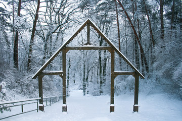 Forest in winter with pine needle leaves covered by snow and mysterious wooden door 