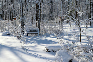 Beautiful winter morning after snowfall background. Scenic snowy landscape with forest covered by fresh snow during sunrise. Wisconsin nature background, Midwest USA.