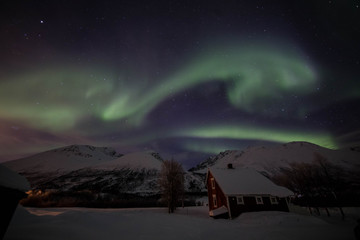 Aurora go wild after a corona hole in Jan 2019