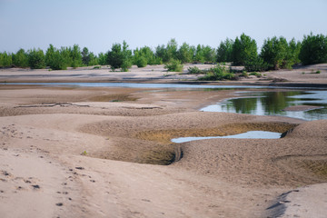 Landscape summer background of wild Sandy beach on river resort and green desert plant on horisont