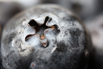 Obraz premium A macro photo of the top of a blueberry, shallow depth of field. Out of focus blueberries in background