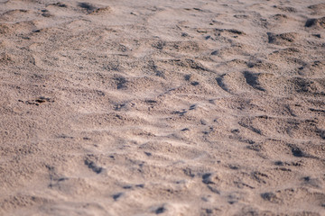 Defocus abstract background sand. Sandy beach on tropical resort