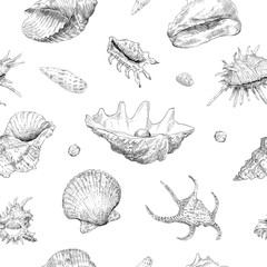 Seamless hand drawn seashells pattern backgrounds. Marine theme wallpaper. Vector illustration.