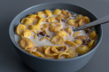 Bowl of cereal with milk. Close-up