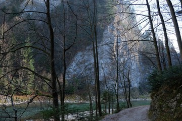Polska, Pieniny - Przełom Dunajca, ścieżka © Iwona