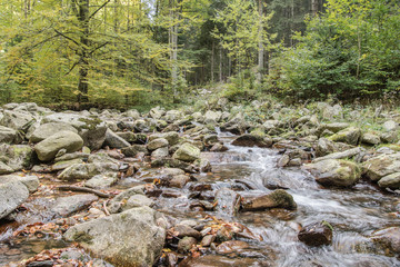Na szlaku Masyw Śnieżnika okolice Międzygórza dolnośląskie, Polska 
