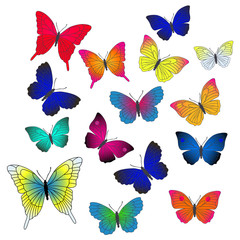 Vector background with flying butterflies