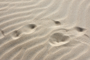 Fine sand and wind drawings