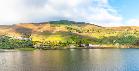 Fototapeta na wymiar Douro Valley riverside vineyards Landscape Portugal