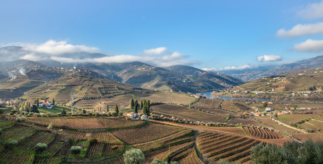 Fototapeta na wymiar Douro Valley vineyards terraces Landscape in Winter Portugal