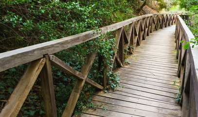 Fototapeta premium Beautiful wooden railing of a small bridge leading up the hill, overgrown with trees and bushes