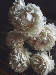 white peonies bouquet dark background © yukinya