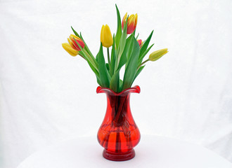 rot-gelbe Tulpen in einer roten Glasvase mit weißem Hintergrund