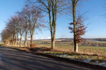 Fototapeta na wymiar Candover Valley, Hampshire, England, UK. January 2019. A winter landscape across farmland looking towards the hamlet of Totford on a sunny day in Hampshire, UK