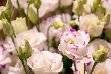 Obraz na płótnie Canvas White and pink lisianthus flowers bouquet