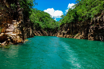 natureza; arvores; plantas