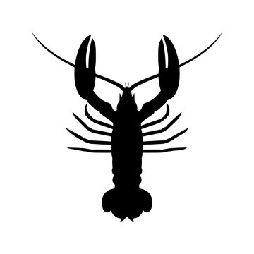 Lobster icon or logo, silhouette lobster
