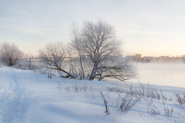 Winter landscape in the early morning overlooking the city of Dubna and the bridge over the Volga. Frosty fog obscures the banks of the river. The tops of the trees are covered with hoarfrost.