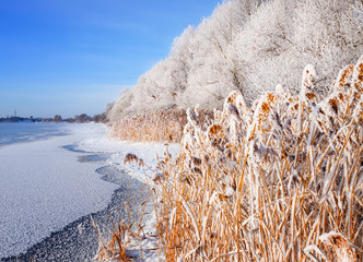 Winter landscape on a clear frosty day overlooking the banks of the Volga River. Frosty fog obscures the banks of the river. The tops of the trees are covered with hoarfrost.