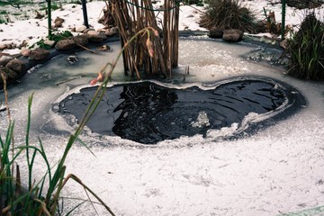 Teich im Garten mit Eisschicht