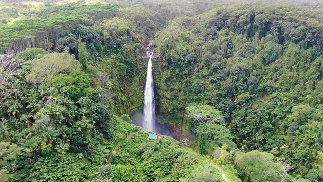 Stunning aerial drone footage of Akaka waterfall (135m tall) on the Big Island of Hawaii, USA. The waterfall is part of Akaka Falls State Park, 18km north of Hilo and is a famous tourist destination. 