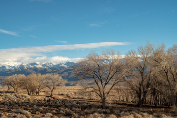 dirt road through valley lined with winter trees snowy mountains